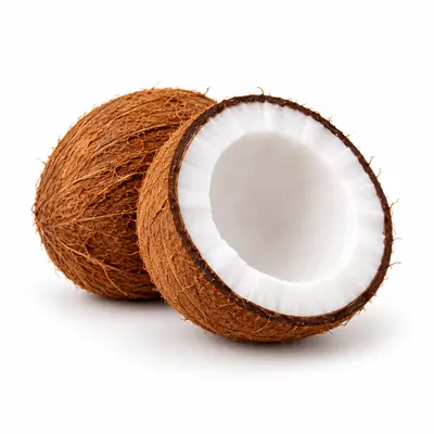 Kokos 