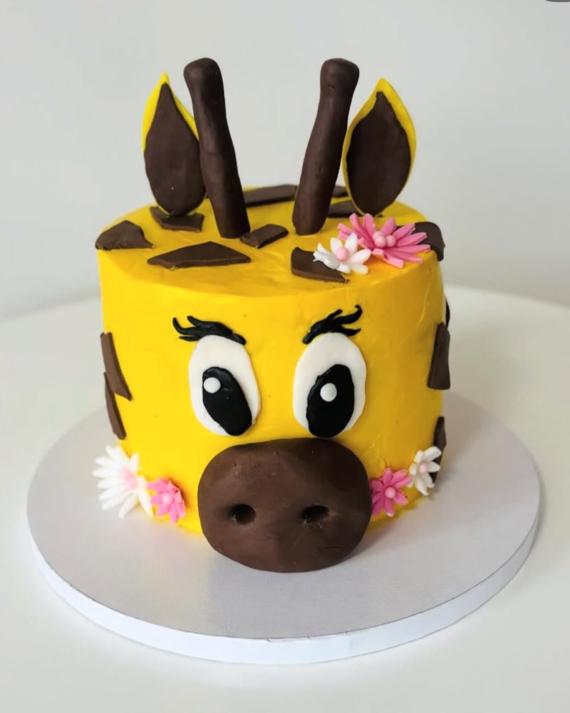 cake-central-bern-kindergeburtstagstorte-02